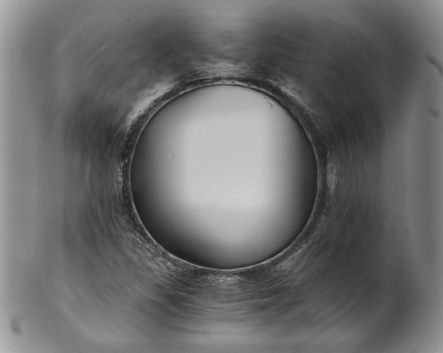 X0000101951309200808011037