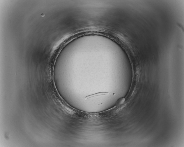 X0000101951310200808011037