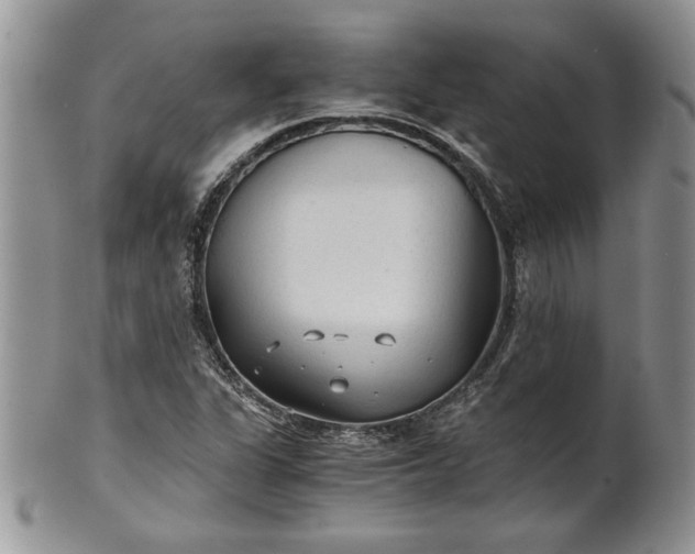 X0000101951311200808011037