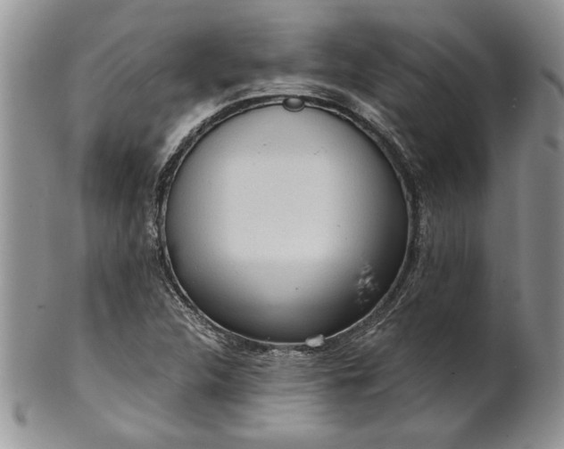 X0000101951312200808011037