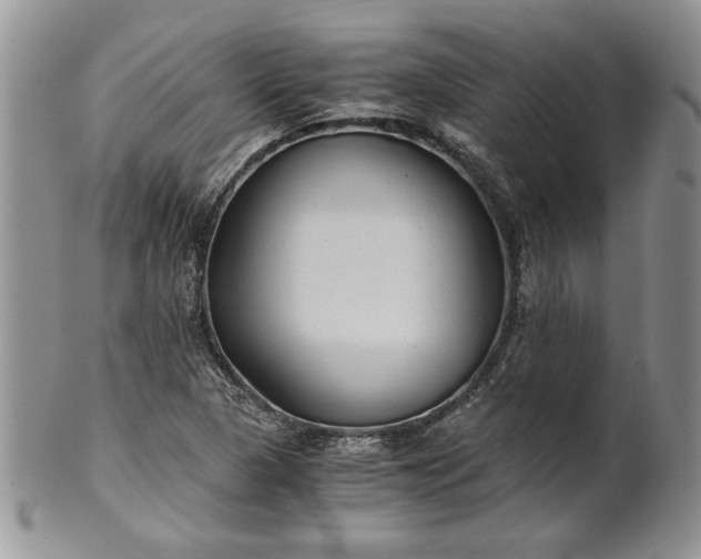 X0000101951313200808011037