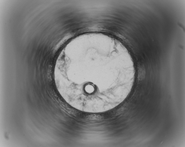 X0000101951314200808011037