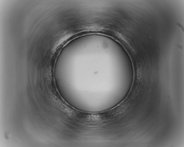 X0000101951315200808011037