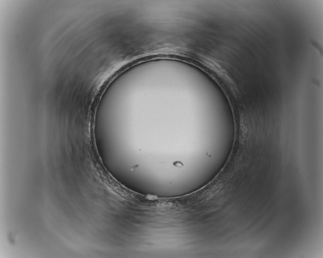 X0000101951316200808011037