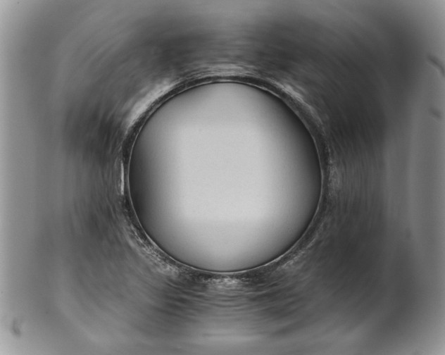 X0000101951317200808011037