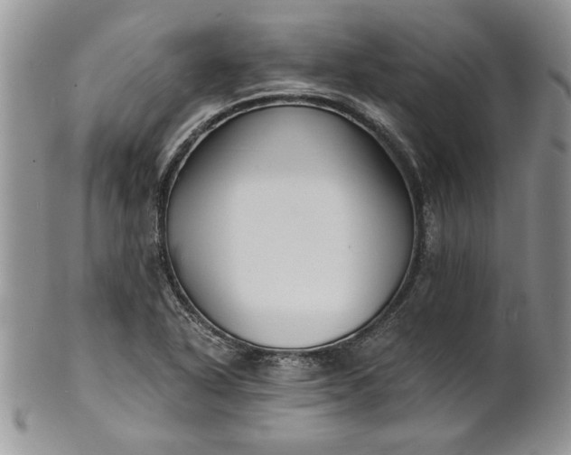 X0000101951318200808011037