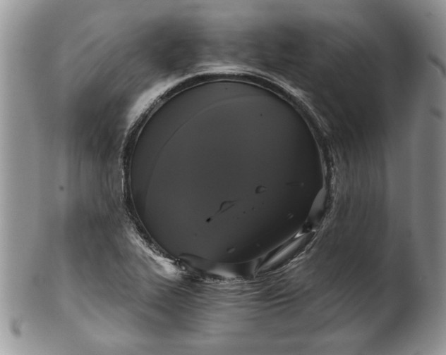 X0000101951319200808011037