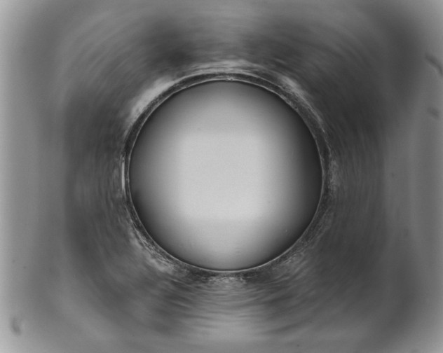 X0000101951320200808011037