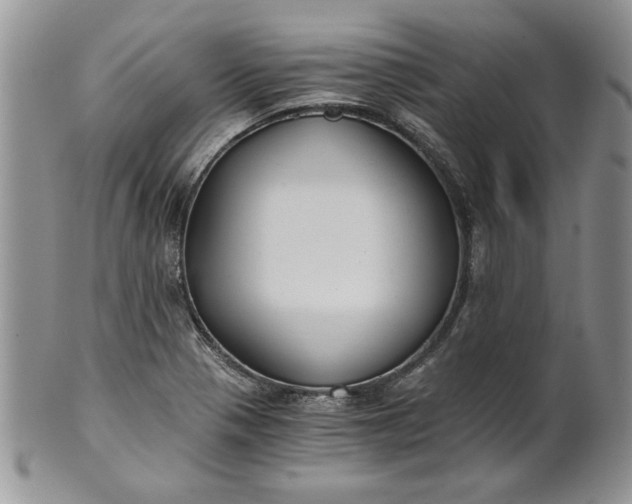 X0000101951321200808011037