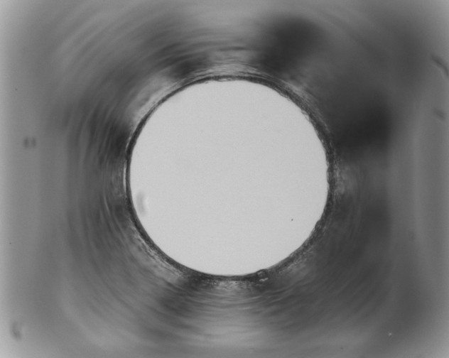 X0000101951322200808011037