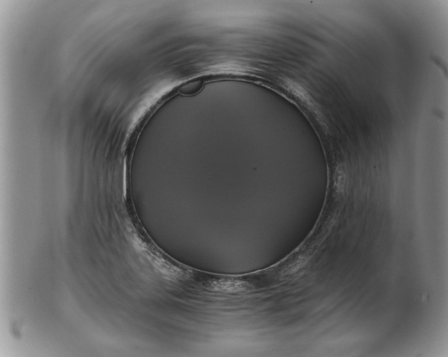 X0000101951323200808011037