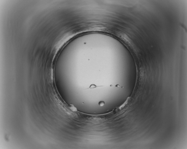 X0000101951324200808011037