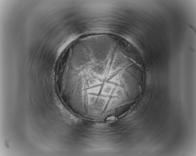 X0000101951325200808011037