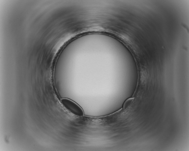 X0000101951326200808011037