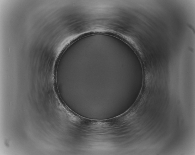 X0000101951327200808011037