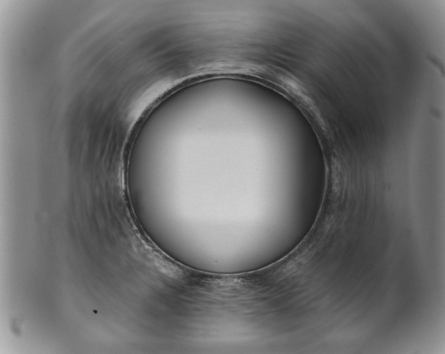 X0000101951328200808011037