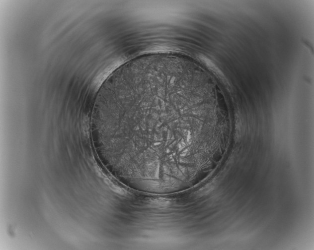 X0000101951329200808011037