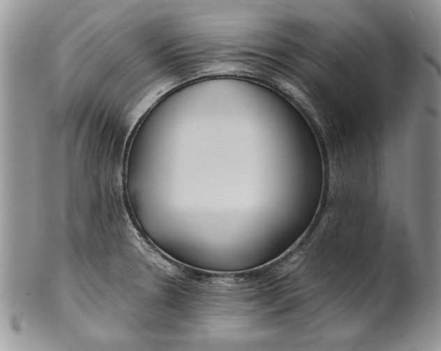 X0000101951330200808011037