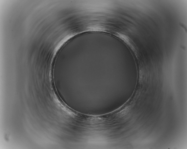 X0000101951331200808011037