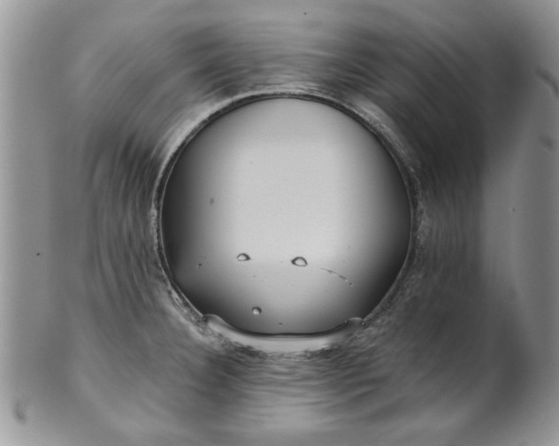 X0000101951332200808011037