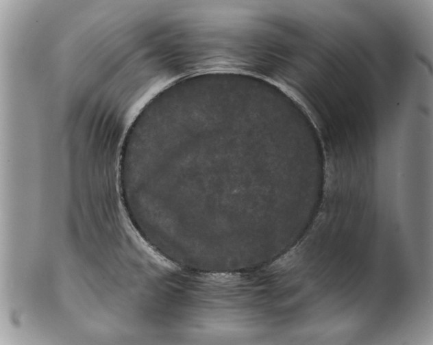 X0000101951333200808011037