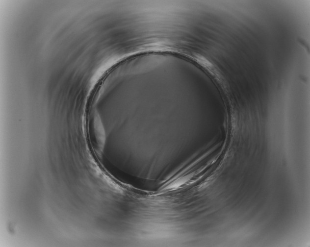 X0000101951334200808011037