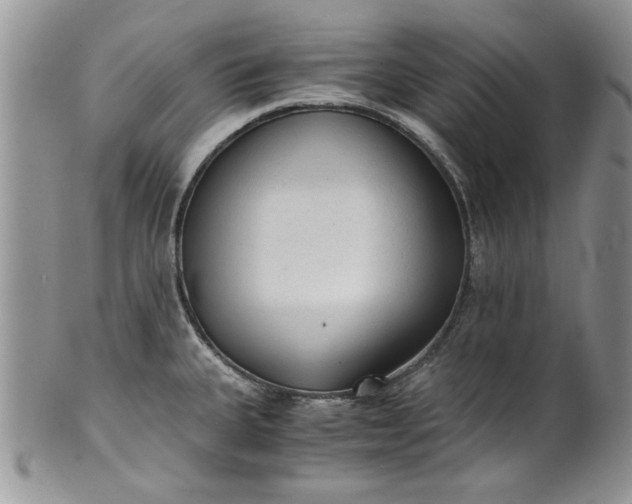 X0000101951335200808011037