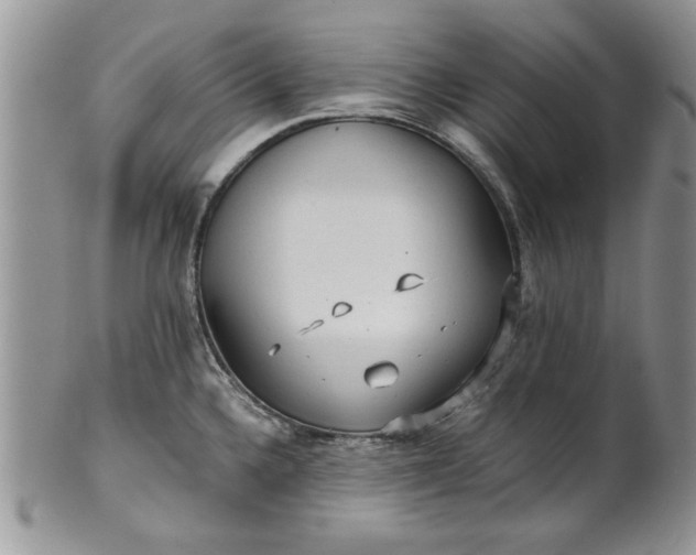 X0000101951336200808011037