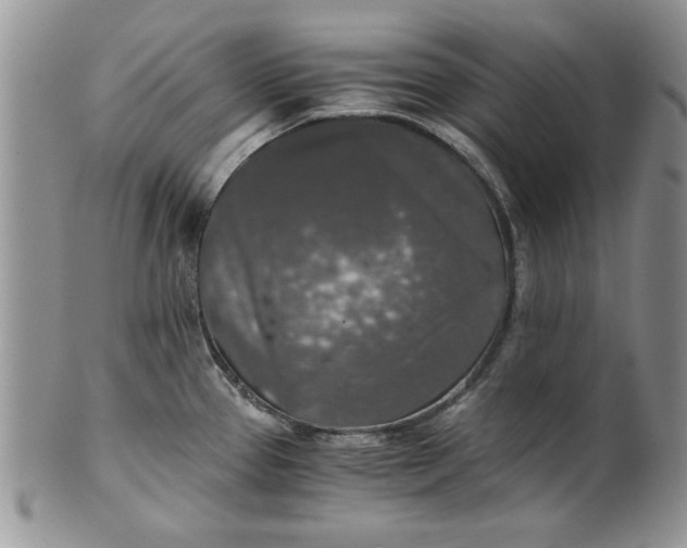 X0000101951337200808011037