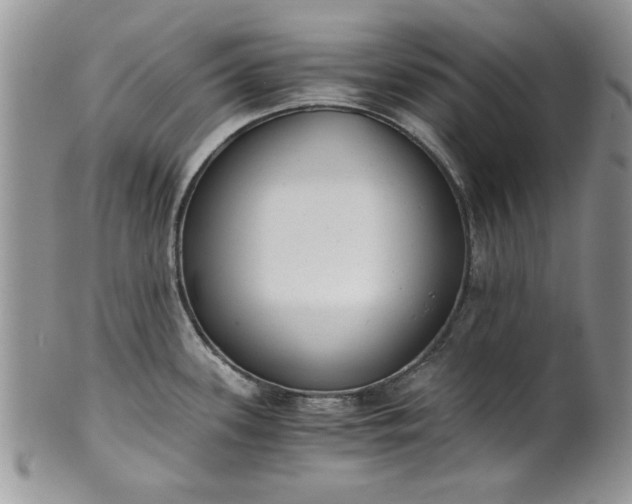 X0000101951339200808011037