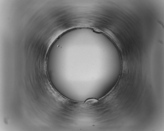 X0000101951340200808011037