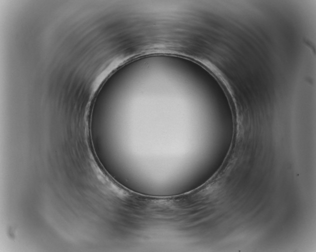 X0000101951341200808011037