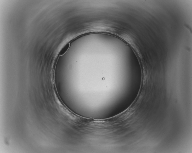 X0000101951342200808011037