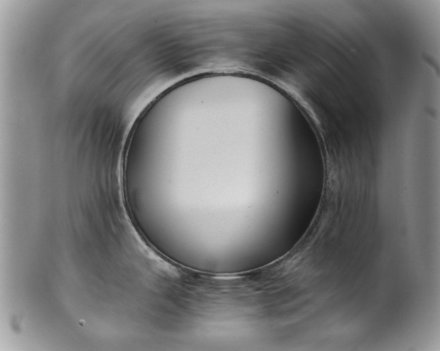 X0000101951343200808011037