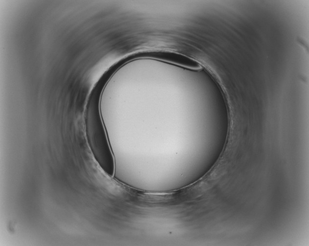 X0000101951344200808011037