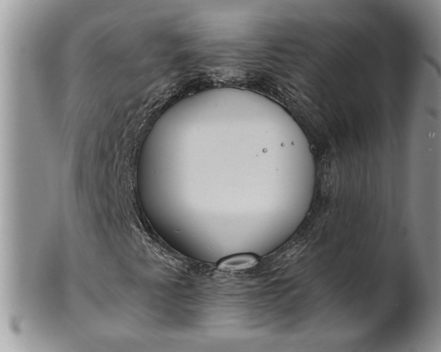 X0000101951345200808011037