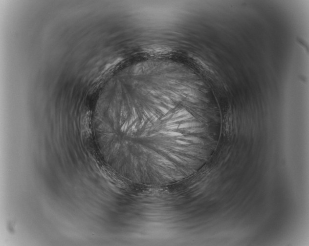 X0000101951346200808011036