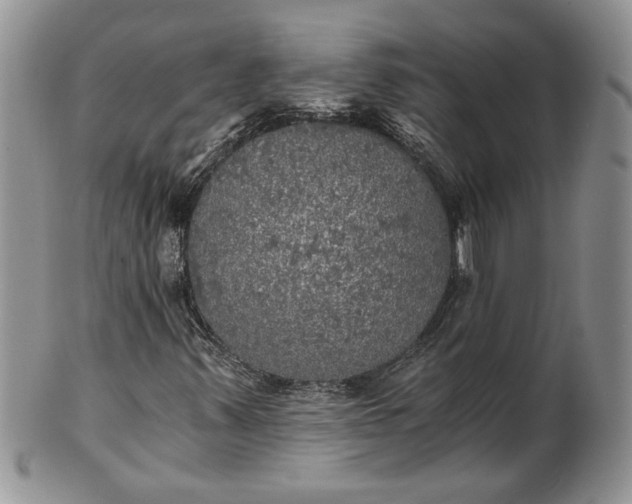 X0000101951347200808011036