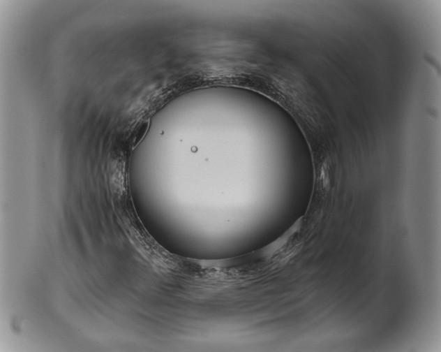 X0000101951348200808011036