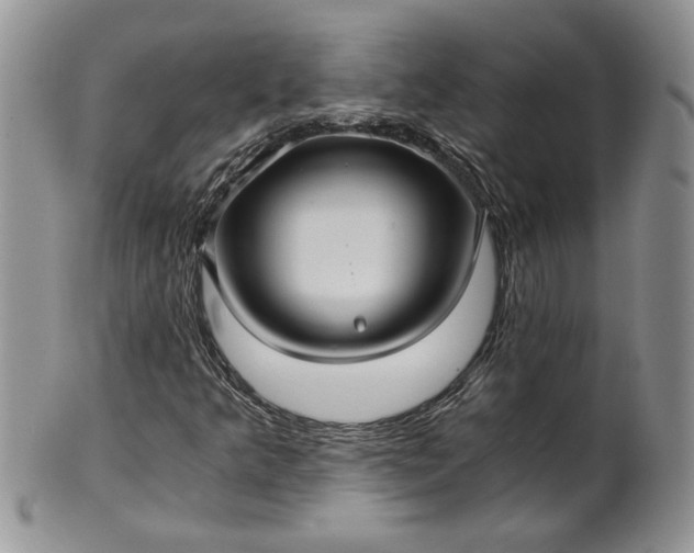 X0000101951349200808011036