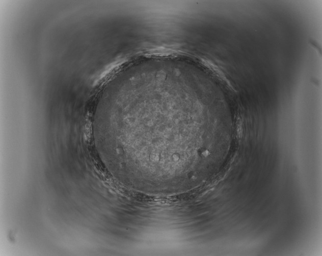 X0000101951350200808011036