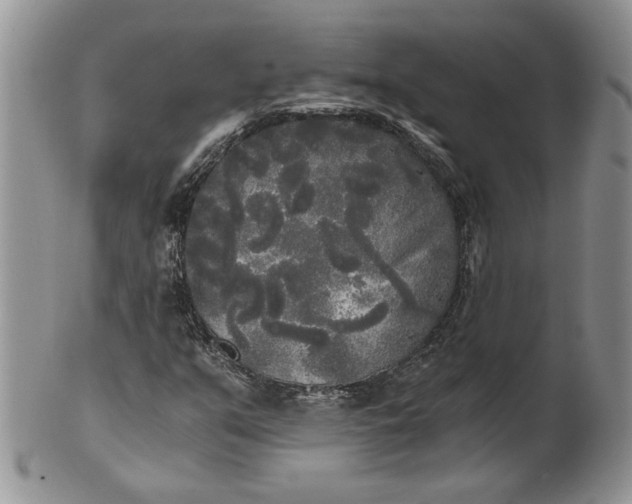 X0000101951351200808011036