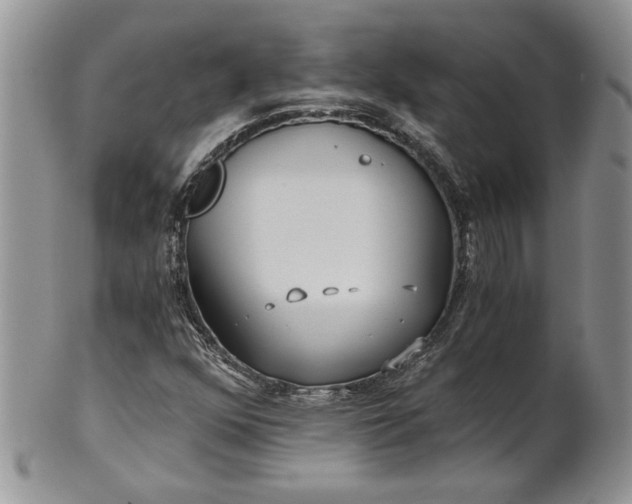 X0000101951352200808011036