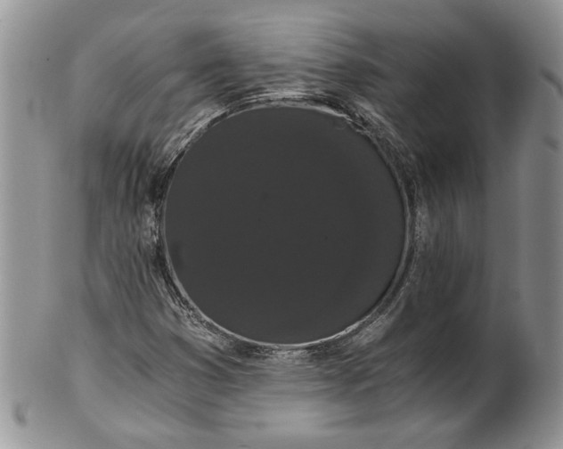 X0000101951353200808011036