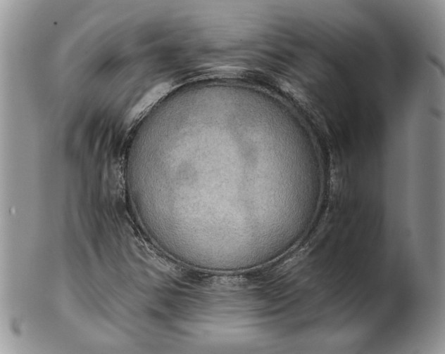 X0000101951354200808011036