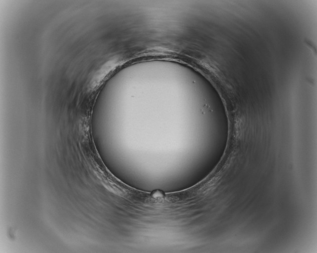 X0000101951355200808011036