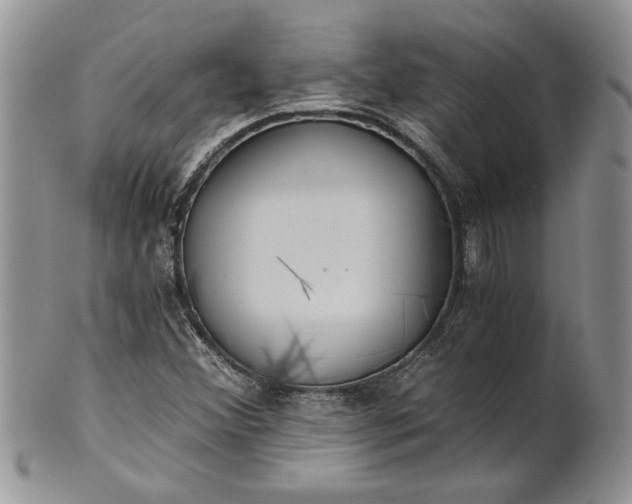 X0000101951356200808011036