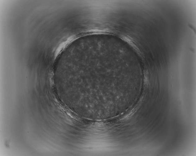 X0000101951357200808011036