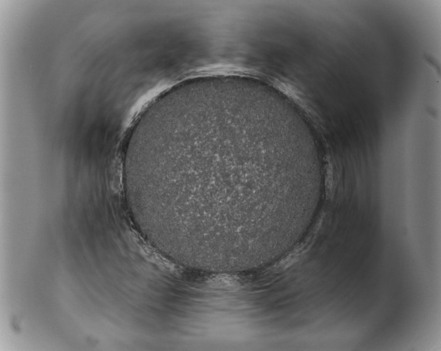 X0000101951358200808011036