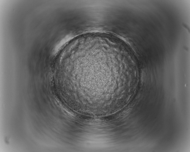 X0000101951359200808011036